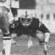 Lester37