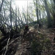 Mtbclod