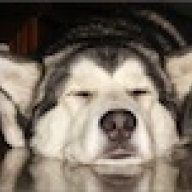 malamuttaro