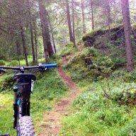 lorenx.bike