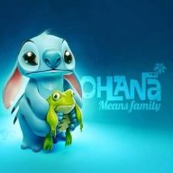 Dindo3