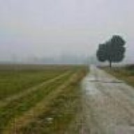 feltrin.roberto