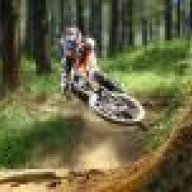 'FreeRider