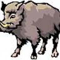 WildboaR