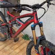 AvidLich23