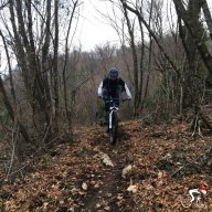 elispecialized