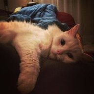 Luskina