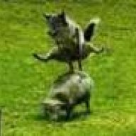 TheWolf