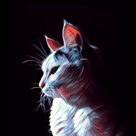 »Kyashan«