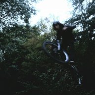 dave.