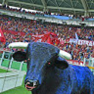 Stefa80