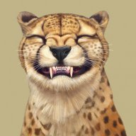 CheetahXII