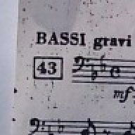 Il basso di genova