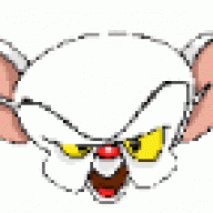 brain