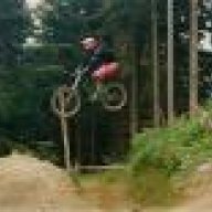 alby79