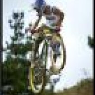 pulga dh