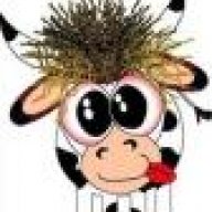 MadCow