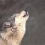 getro