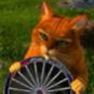 Gatto Da Osteria