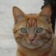 mecio