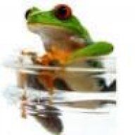 kermit