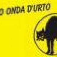 gatto nero gatto bianco