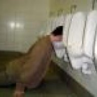 Urinating Tiger
