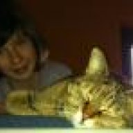 gattodimarmo
