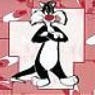 il gatto