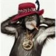 pimp monkey