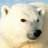 artic
