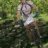 gavmax