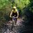 Bobike