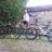francy71