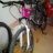 Samumotard