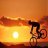 ApoBike