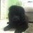 Gabry81