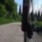RollingRunner