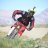 Bullrider