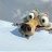 Scrat