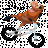 pumba