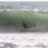 surfernicola