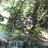 freespirit71