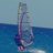 wsurfista.saltuario