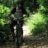 ROMOLOMTB