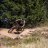 TrailsLover