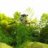 lollo_di_san_denel