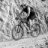 Johnny29er