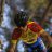 Gabri_02