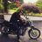 filippo22